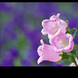 Meet your Posher, Karin